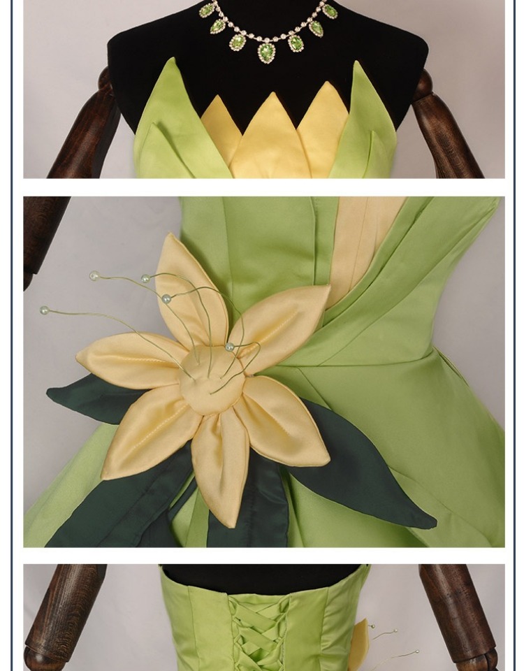 Princess Tiana Dress Cosplay C - Young Women'S Accessories recension och pris