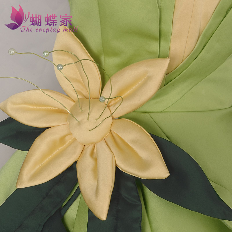 Princess Tiana Dress Cosplay C - Young Women'S Accessories recension och pris
